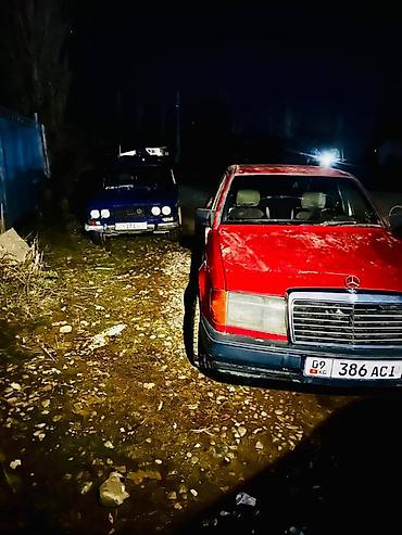 Mercedes-Benz: Mercedes-Benz W124: 1989 г., 2.3 л, Механика, Бензин, Седан — 1