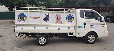 Наклейки и эмблемы: Наклейки на авто | Компания DM Art занимается брендингом от мотоциклов — 2