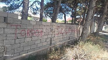 Torpaq: 5 sot, Kənd təsərrüfatı, Mülkiyyətçi, Kupça (Çıxarış) — 2