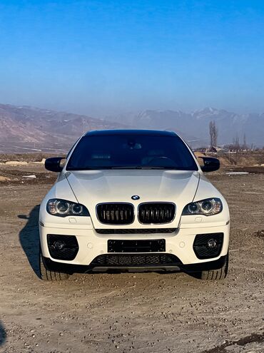 спорт машина: BMW X6: 2009 г., 3 л, Автомат, Дизель, Кроссовер