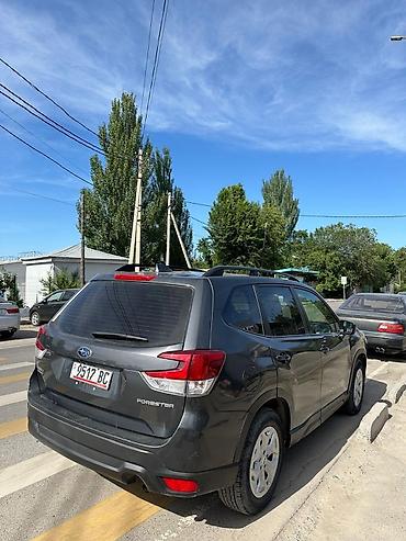 форестер 2020 года: Subaru Forester: 2020 г., Автомат, Бензин, Кроссовер — 4