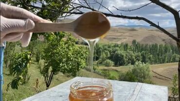 Bal: Astaranın cicək balı — 5