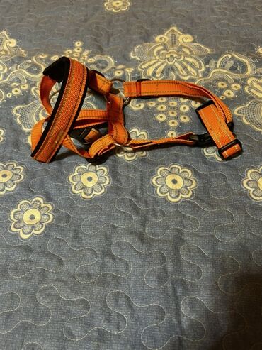 Xaltalar, qayışlar və tasmalar: İt aksesuarları dəsti, tek tek qiymetler qeyd edilib endirim yoxdur — 7