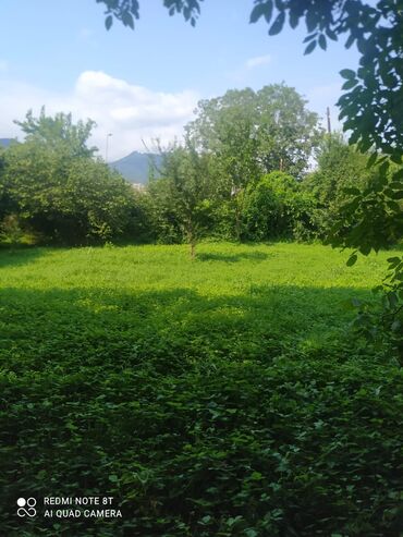 torpaq sabuncu: 3 sot, Tikinti, Maklerlər narahat etməsin, Kupça (Çıxarış)