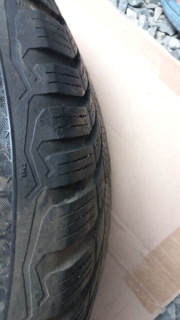 Disklər: İşlənmiş Şin Continental 195 / 65 / R 15