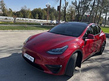 ровен: Tesla Model Y: 2022 г., Робот, Электромобиль, Кроссовер — 4