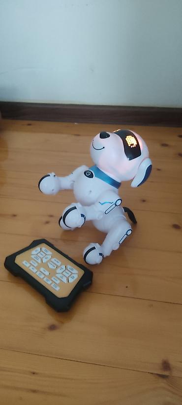 oyuncaq ayi per page 40: Ağıllı Robot İt oyuncağı – mavi aksentli, interaktiv uşaq oyuncağı — 2