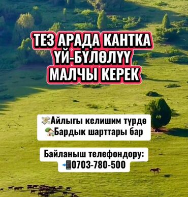 официант бишкек без опыта: Требуется Скотник, Оплата Ежемесячно
