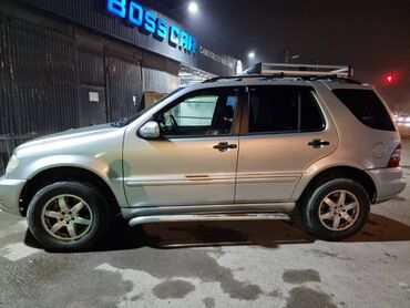 Mercedes-Benz: Mercedes-Benz M-Class: 2003 г., 4 л, Автомат, Дизель, Внедорожник — 10