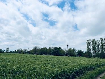 Torpaq sahələrinin satışı: Kənd təsərrüfatı, Kupça (Çıxarış) — 7