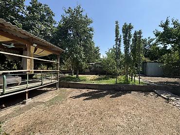 Продажа дачи: Продам дачу, собственник Сад плодородный Яблони, груши, королевский — 8