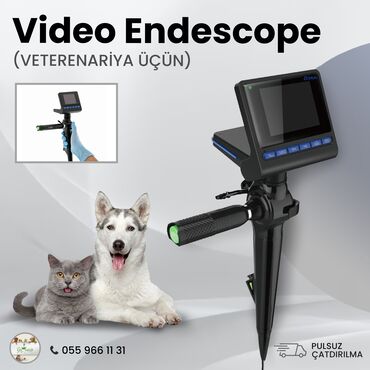 Heyvanlar üçün mallar: Veterenariya üçün video endoskop