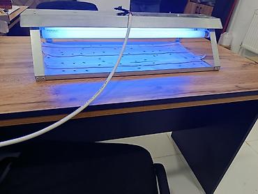 candella pro u: UV işıqla həşərat tutucu cihaz - İstifadə sahəsi: restoran, kafe — 3