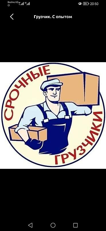 Грузчики: Грузчик. Больше 6 лет опыта — 2