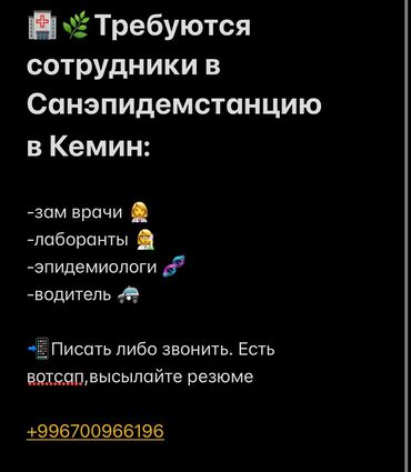 работа в германии для кыргызстанцев без знания языка: Врач