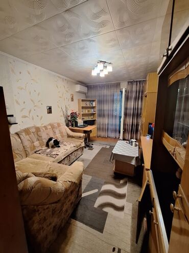 переводческое агенство: 3 комнаты, 59 м², 1 этаж