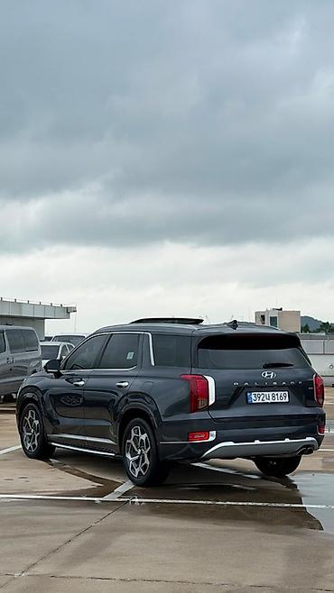 terrain: Hyundai Palisade: 2021 г., 2.2 л, Автомат, Дизель, Кроссовер — 4