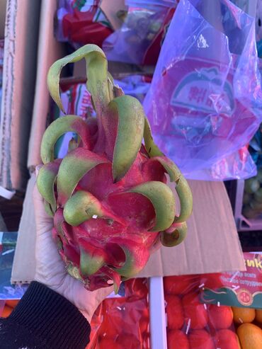 жылкы эти бишкек цена: Овощи и фрукты 
Оптом и в розницу 
Онлайн офлайн +