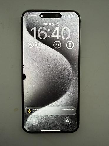 двенадцатый про iphone: IPhone 15 Pro Max, 256 ГБ, цвет светлый (корпус из титана), модель — 2
