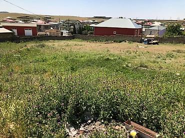 ev algi satgisi sumgayitda: 10 sot, Tikinti, Mülkiyyətçi, Kupça (Çıxarış), Texniki pasport — 8