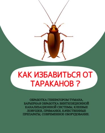 дезинфекции от тараканов: Дезинфекция, дезинсекция | Тараканы | Офисы, Квартиры, Дома