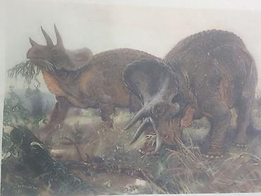 Ev üçün dekor: Məhsul: Dinozavr mövzusunda vintage illüstrasiya çapları dəsti — 6