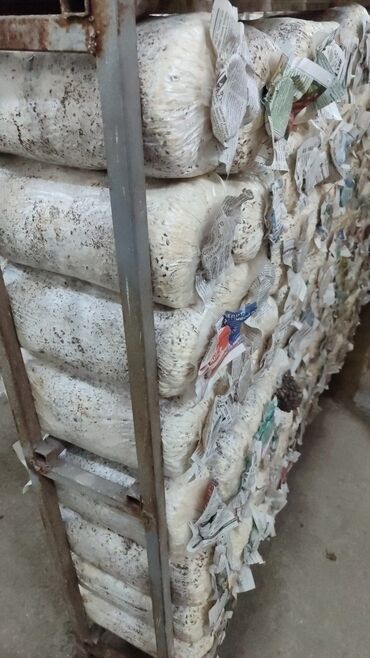 кухонные шкафы на заказ: Козу карындар Вешенки