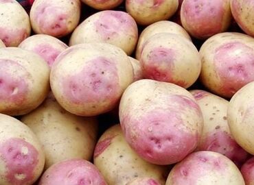 кочкор картошка: Картошка Пикассо, Дүңүнөн