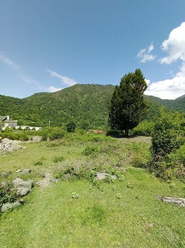mərdəkanda torpaq: 6 sot, Tikinti, Mülkiyyətçi, Kupça (Çıxarış)