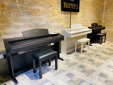 Музыкальные инструменты: Koreya istehsali olan dünya şöhrətli Kurzweil pianoları. Sevimli