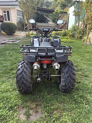 квадроцикл мини: Продаю квадроцикл Tiger Max Grade 150 на литых дисках Квадроцикл в — 4