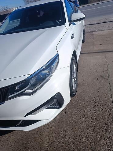 Kia: Kia K5: 2020 г., 2 л, Газ, Седан — 3