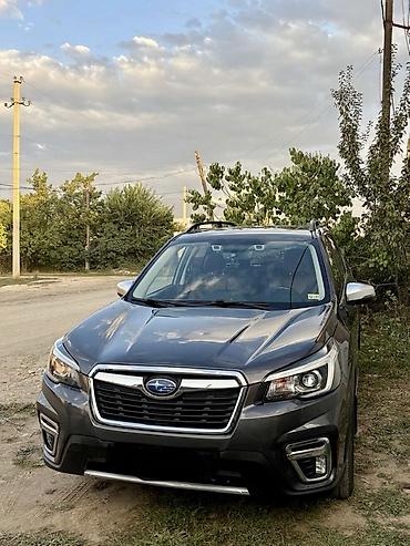 forester 2008: Subaru Forester: 2020 г., 2.5 л, Автомат, Бензин, Кроссовер — 3