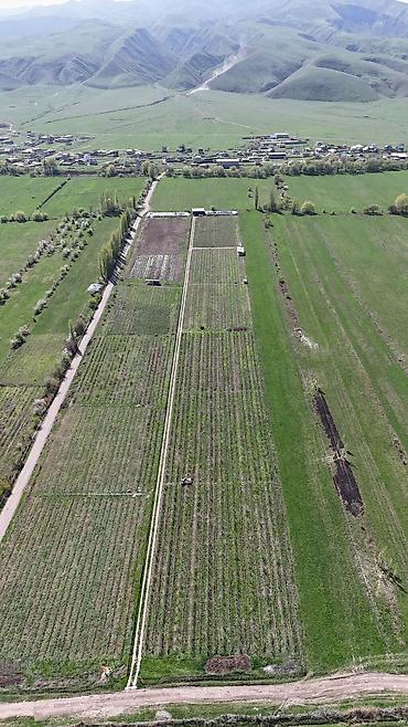 Продажа сельхоз предприятий: Питомник растений, 220 соток, Действующий, Частично с оборудованием, Холодная вода, Электричество — 24