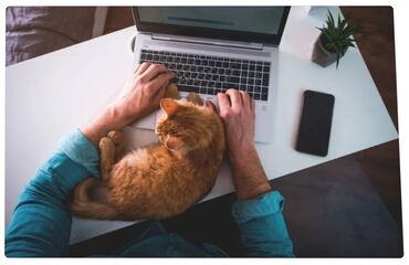 интернет: Работа для дома можно заработать не выходя из дома, только нужно будет