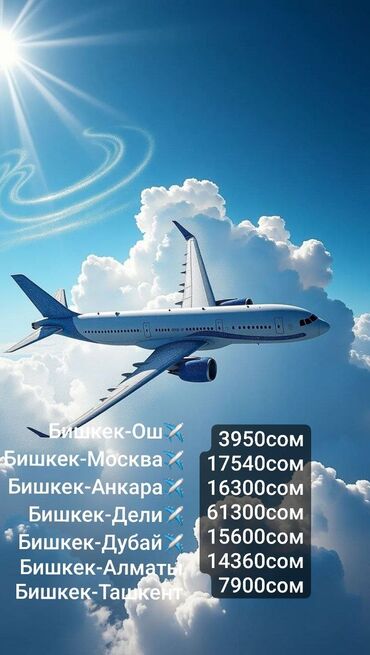горящие туры в хайнань из бишкека: Авия билеттер каалаган багытка, эң арзан баада!