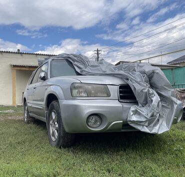 форестер sf: Subaru Forester: 2003 г., 2 л, Автомат, Бензин, Универсал