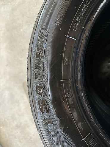 c max: Шины 215 / 65 / R 16, Лето, Новый, Комплект, Легковые, Китай, Sailun — 4