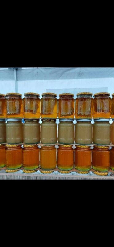 Bal: Arının bütün məhsulları Satışdadı — 7