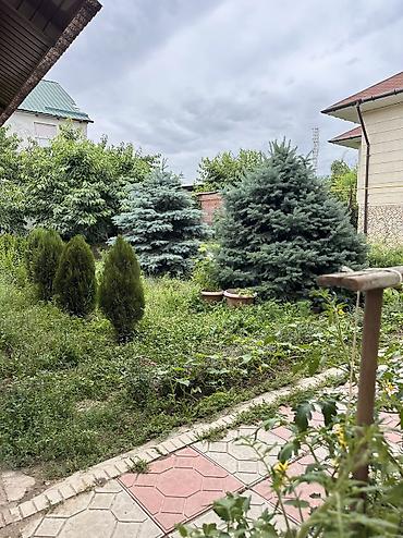 Продажа коттеджей и домов: Срочно !! Продаю дом! Жил массив Арча Бешик Шералиева Кара Кужур — 12