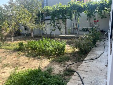 Ev üçün digər mallar: Dəyər qiymətindən daha uyğun qiymətə, ramana susa şəhərciyində iki — 6