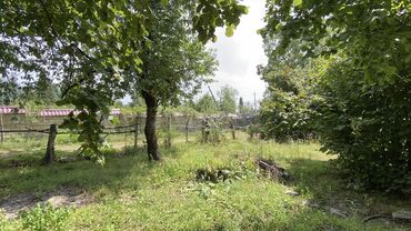 Torpaq sahələrinin satışı: 12 sot, Tikinti, Mülkiyyətçi, Kupça (Çıxarış) — 19