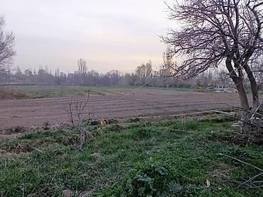 искра участок: 92 соток, Для сельского хозяйства — 2