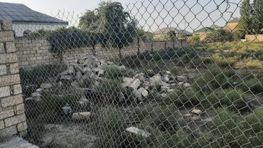 Torpaq sahələrinin satışı: 11 sot, Tikinti, Mülkiyyətçi, Kupça (Çıxarış) — 7