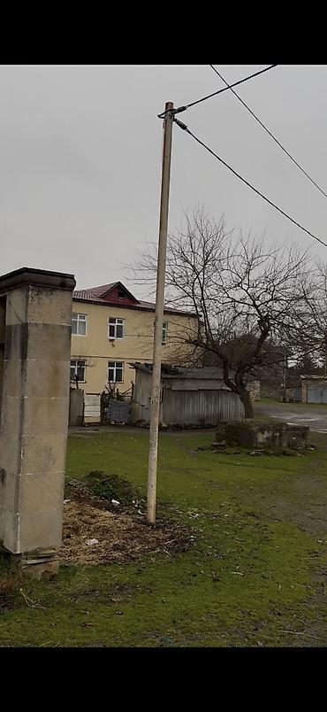 Torpaq sahələrinin satışı: 49 sot, Tikinti, Kupça (Çıxarış) — 3