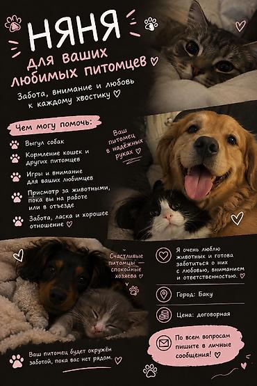 it satisi balaca: 🐾 НЯНЯ ДЛЯ ВАШИХ ЛЮБИМЫХ ПИТОМЦЕВ 🐶🐱 Всем привет! ❤️ Предлагаю услуги — 1