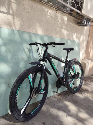 wolt çanta: İşlənmiş Şəhər velosipedi 29"