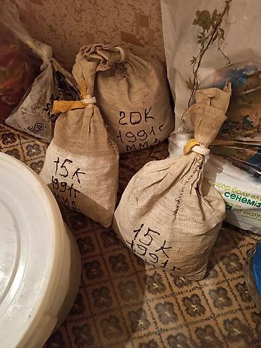 Антиквариат: Скупка антиквариата для коллекции. Монеты, значки, статуэтки — 6