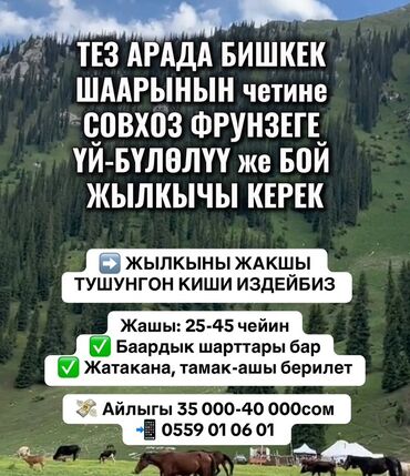 работа водитель бишкеке: Требуется Пастух, Оплата Ежемесячно, Питание