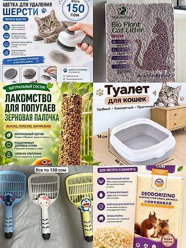 сурикат купить бишкек: 🐾 Мокрый нос — всё для любимых питомцев 🐱🐶 🥣 Миски и аксессуары 🧸 — 3